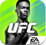 UFC终极格斗冠军2