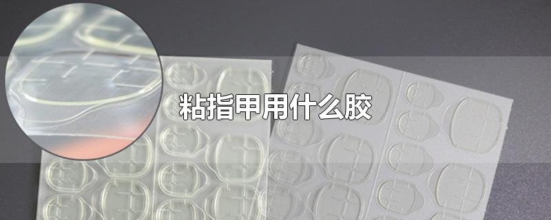 粘指甲用什么胶