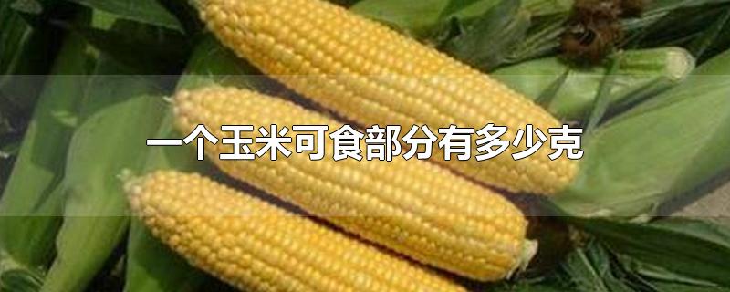 一个玉米可食部分有多少克