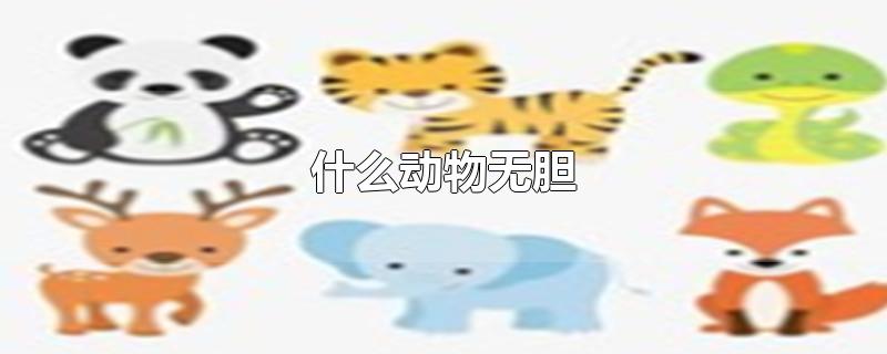 什么动物无胆