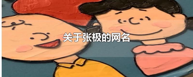 关于张极的网名