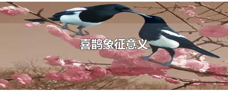 喜鹊象征意义