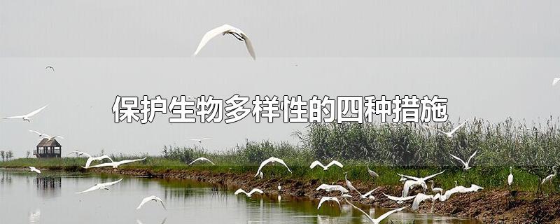 保护生物多样性的四种措施