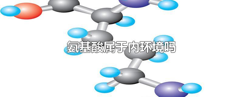 氨基酸属于内环境吗