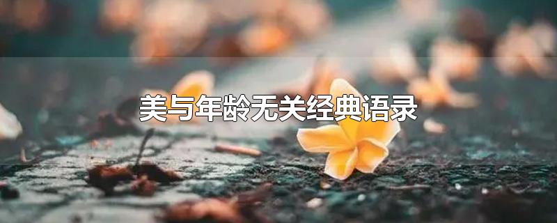 美与年龄无关经典语录