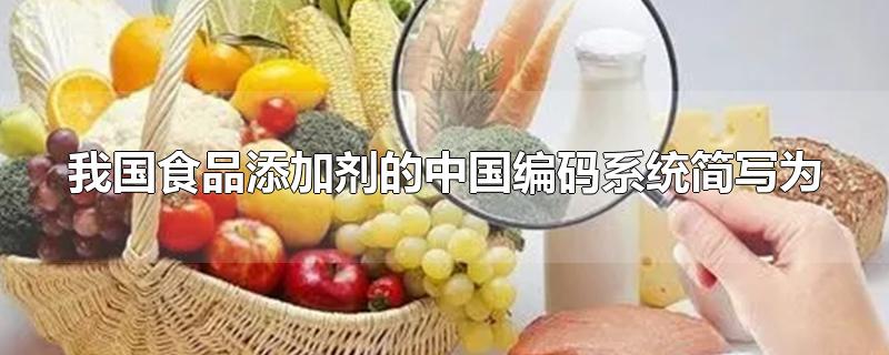 我国食品添加剂的中国编码系统简写为