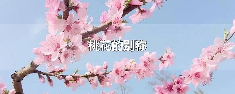 桃花的别称