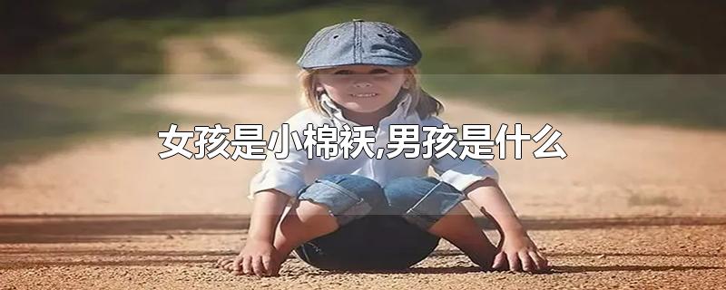 女孩是小棉袄,男孩是什么