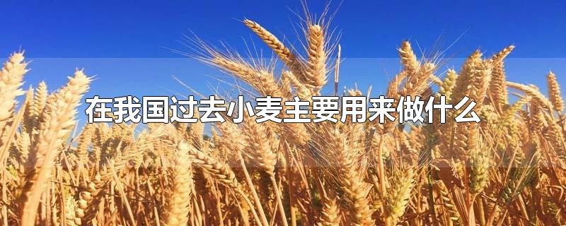 在我国过去小麦主要用来做什么