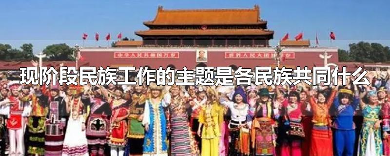 现阶段民族工作的主题是各民族共同什么