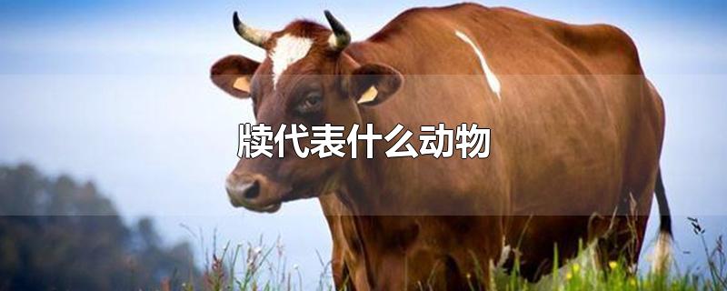 牍代表什么动物