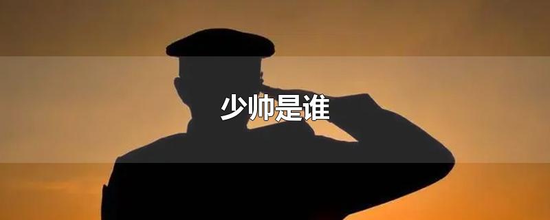 少帅是谁