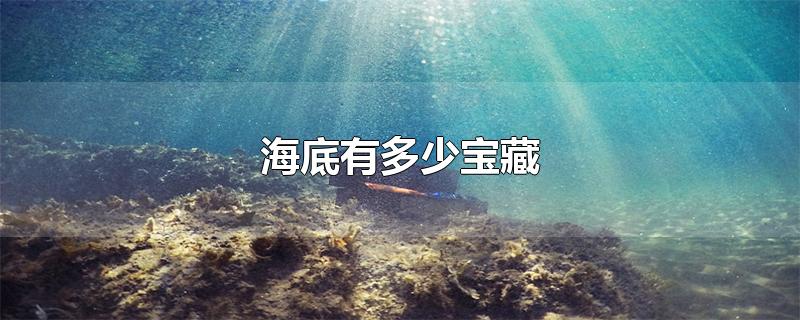 海底有多少宝藏