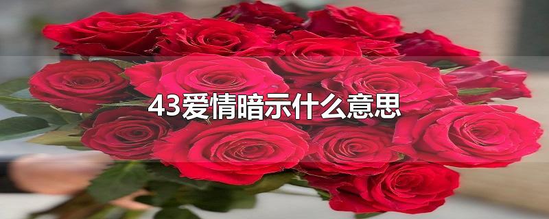 43爱情暗示什么意思