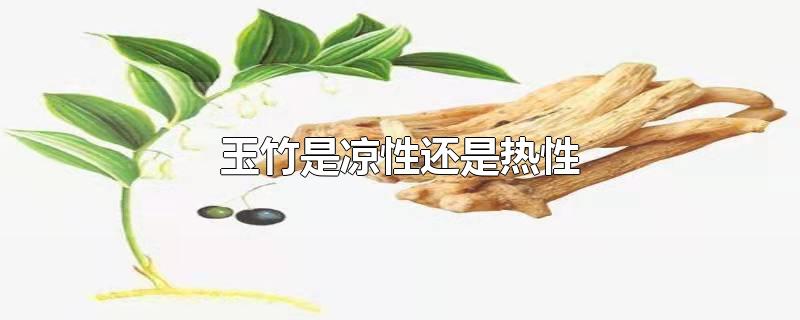 玉竹是凉性还是热性