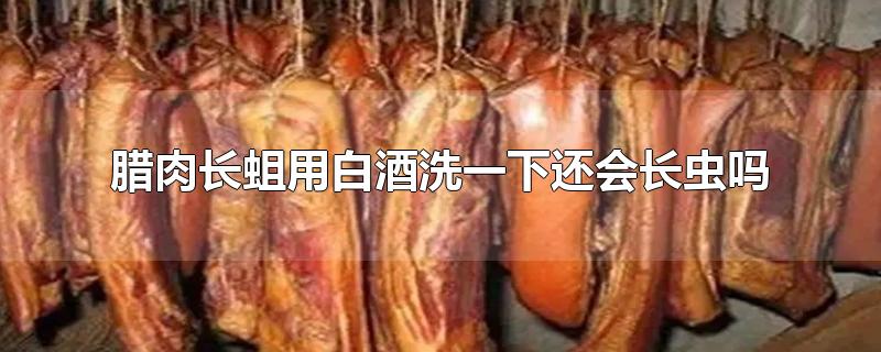 腊肉长蛆用白酒洗一下还会长虫吗