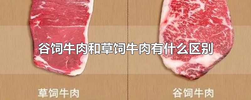 谷饲牛肉和草饲牛肉有什么区别