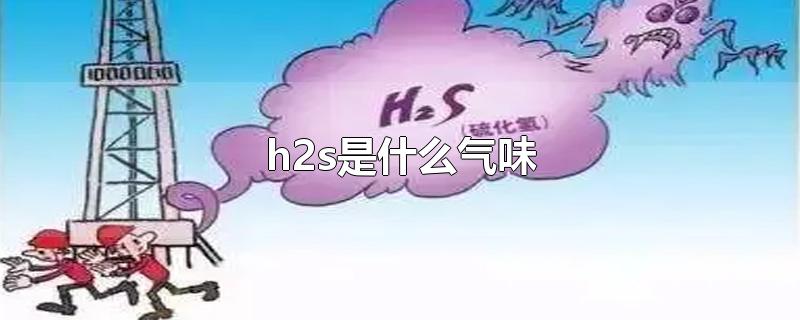 h2s是什么气味