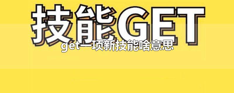 get一项新技能啥意思