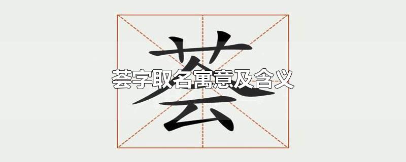 荟字取名寓意及含义