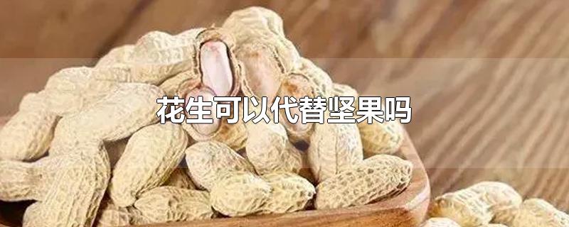 花生可以代替坚果吗