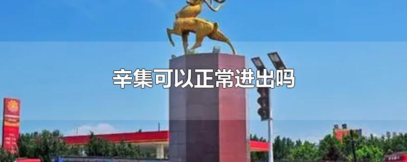 辛集可以正常进出吗