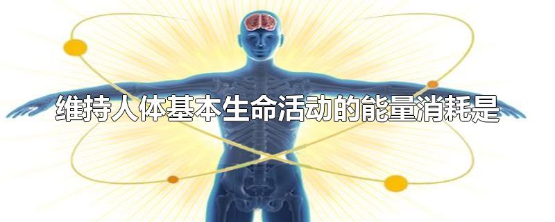 维持人体基本生命活动的能量消耗是