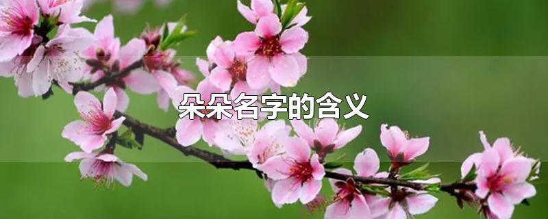 朵朵名字的含义