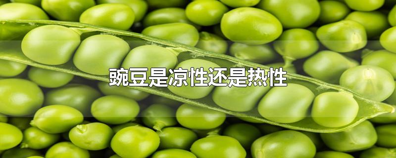 豌豆是凉性还是热性