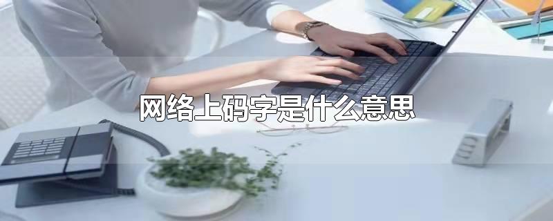 网络上码字是什么意思