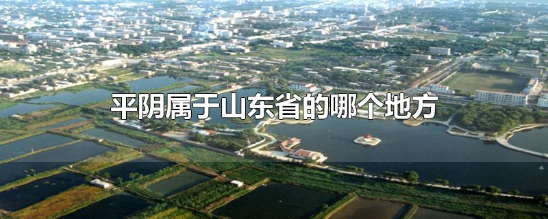 平阴属于山东省的哪个地方