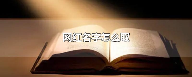 网红名字怎么取