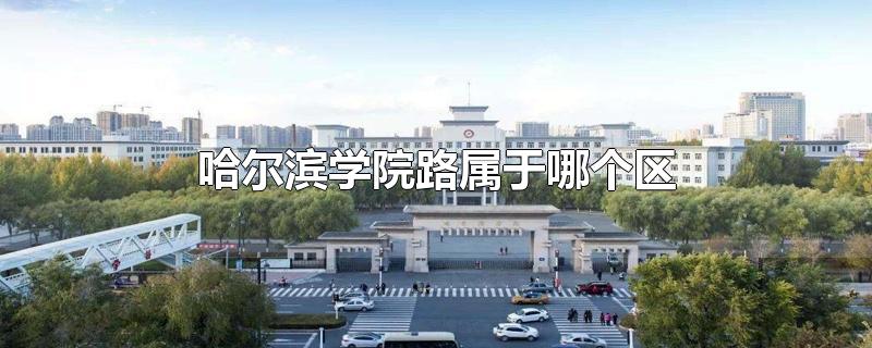 哈尔滨学院路属于哪个区