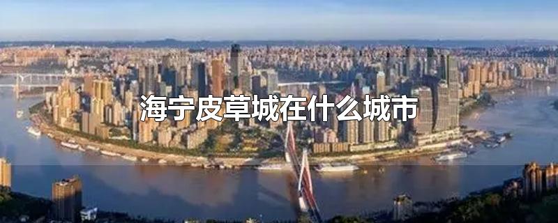 海宁皮草城在什么城市