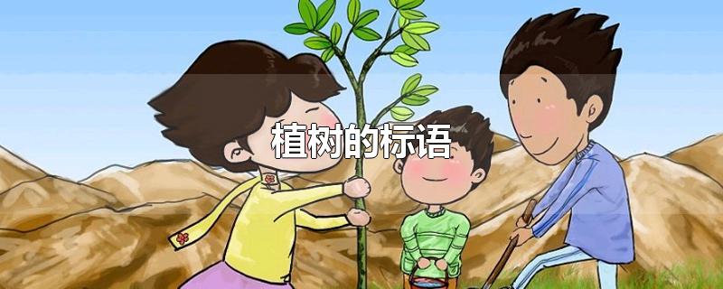 植树的标语