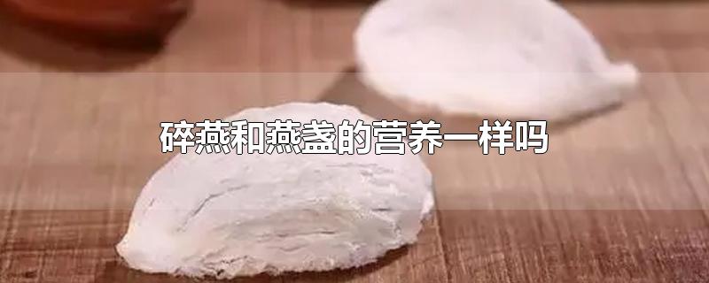 碎燕和燕盏的营养一样吗