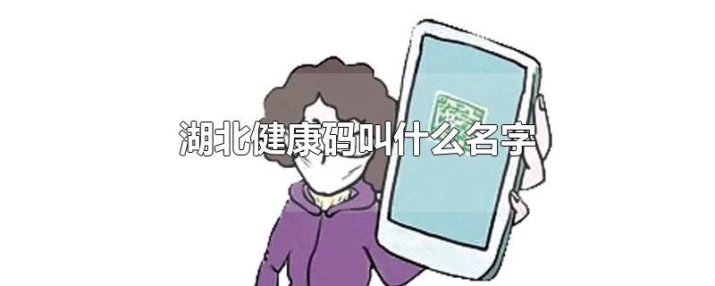 湖北健康码叫什么名字