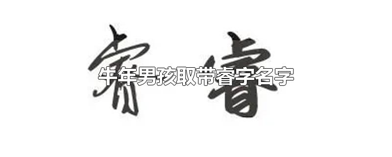 牛年男孩取带睿字名字