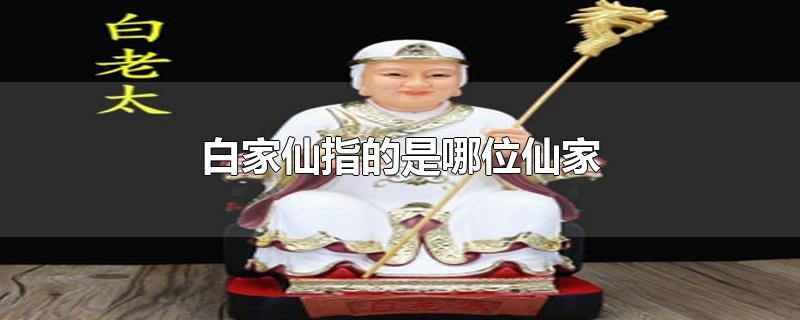 白家仙指的是哪位仙家