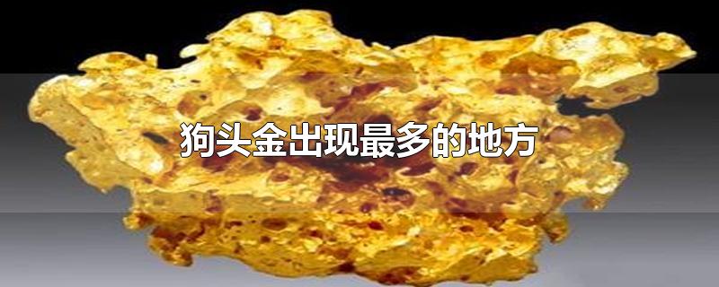 狗头金出现最多的地方