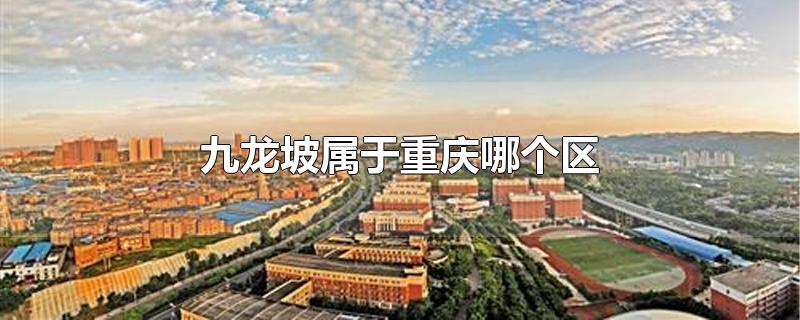 九龙坡属于重庆哪个区