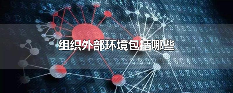 组织外部环境包括哪些