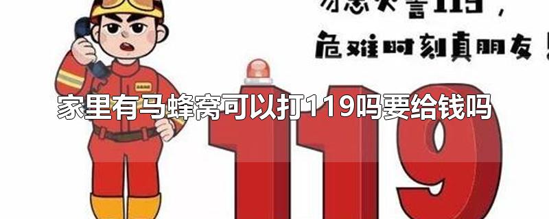 家里有马蜂窝可以打119吗要给钱吗