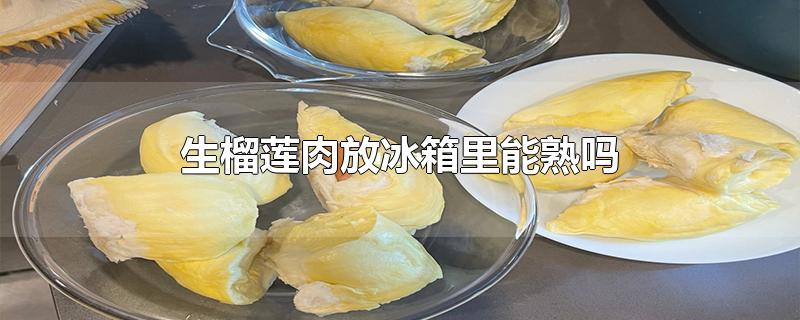 生榴莲肉放冰箱里能熟吗