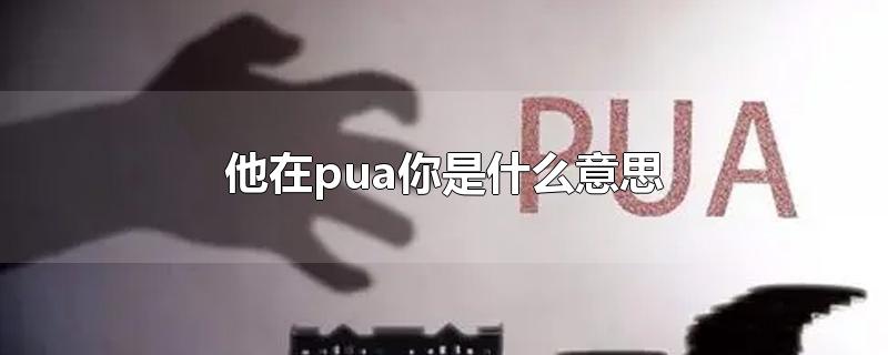 他在pua你是什么意思