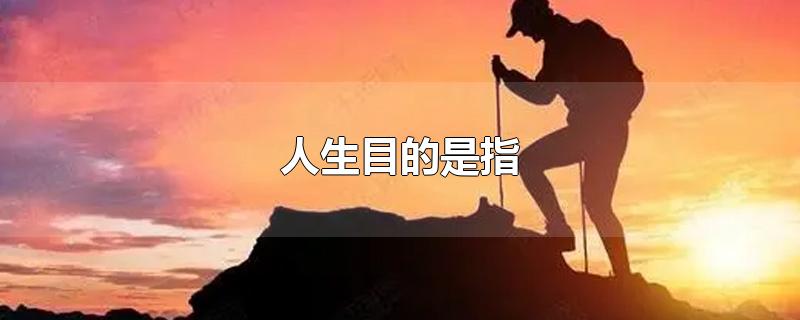 人生目的是指