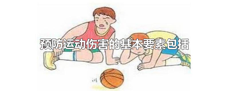 预防运动伤害的基本要素包括