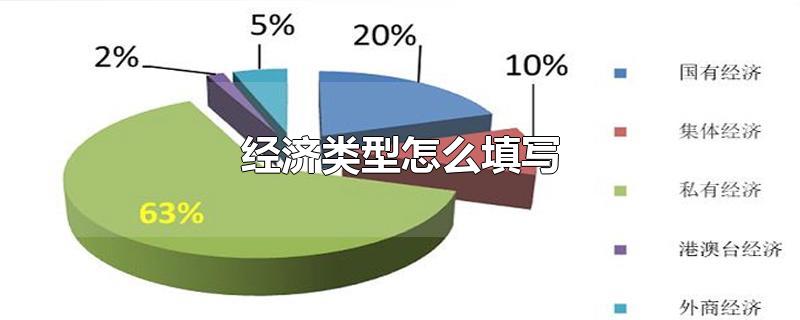 经济类型怎么填写