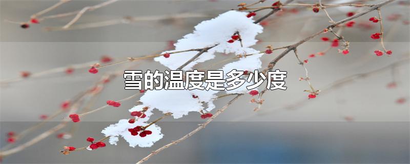 雪的温度是多少度