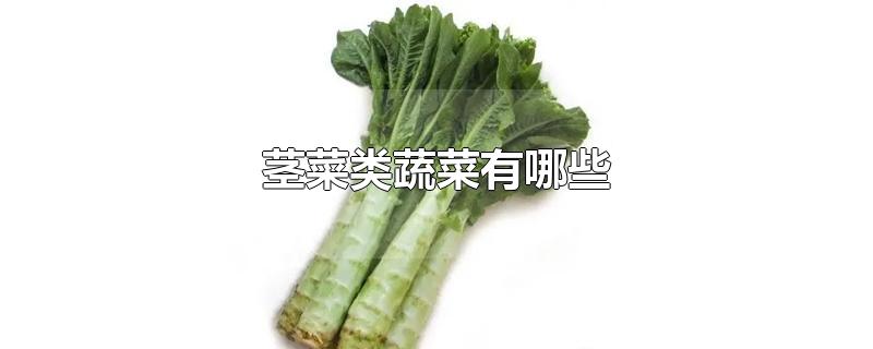 茎菜类蔬菜有哪些